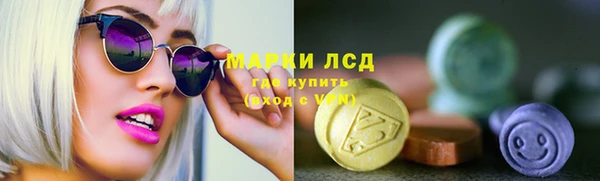молекула духа Бородино
