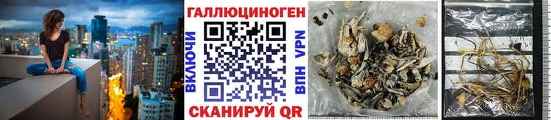 где найти   Мегион  ОМГ ОМГ tor  Псилоцибиновые грибы Psilocybe 